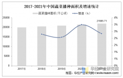 2025年中国蔬菜行业